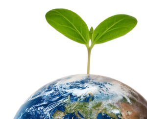Planet 2